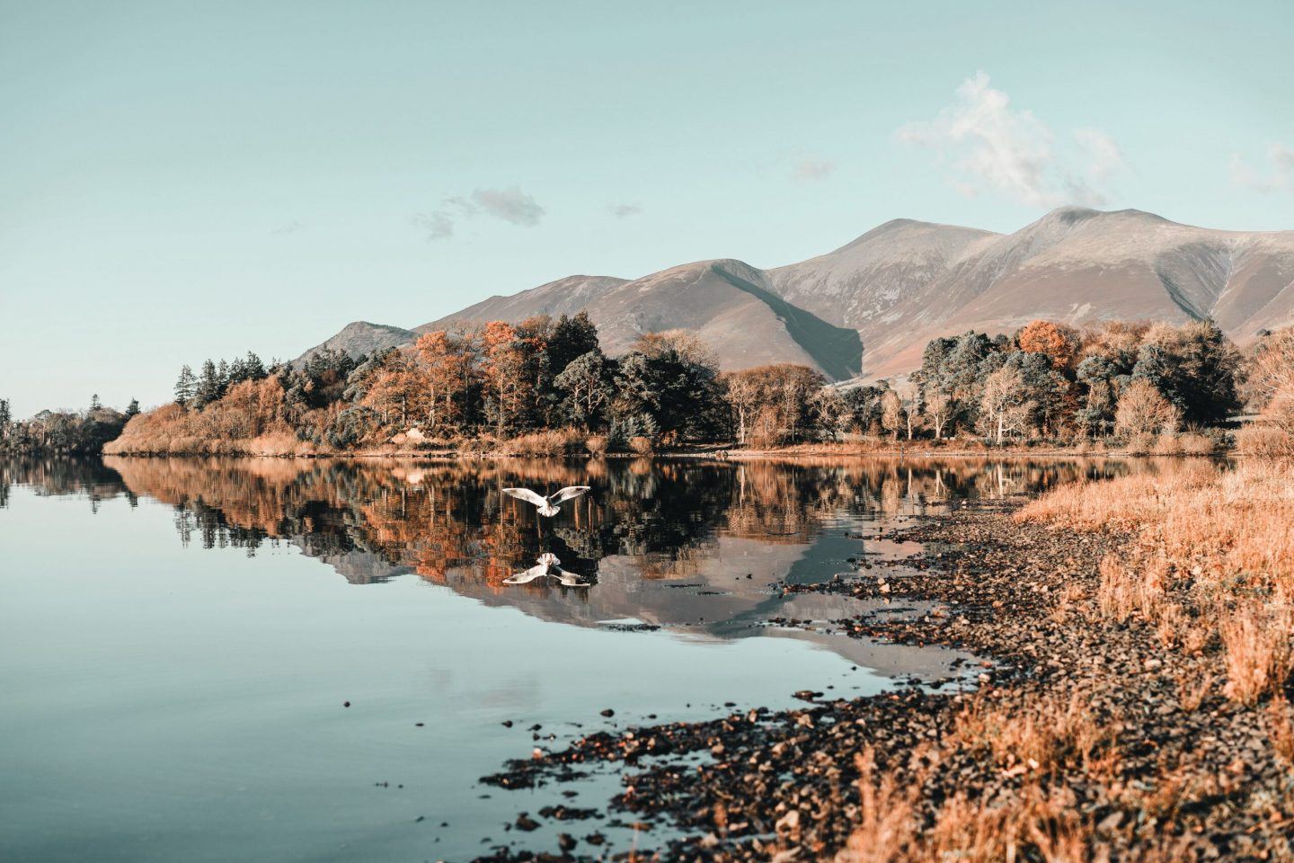 mountains reflecting on a lake with a big blue sky
