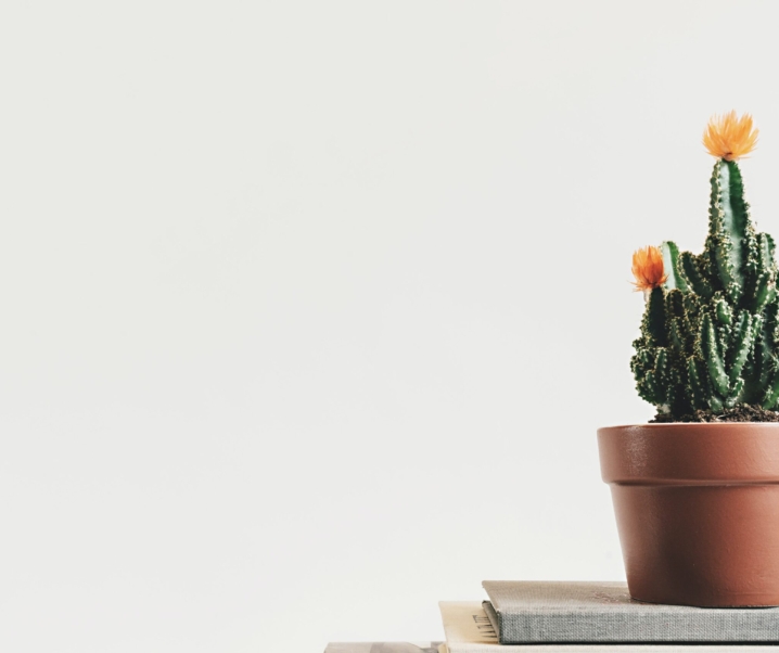 FRUGAL LIVING – FRUGAL HABITS TO LIVE BY & HACKS TO SAVE MONEY IN 2023.