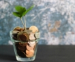 Financial Resolutions : How to Stick to a No Buy Year and Save Money.