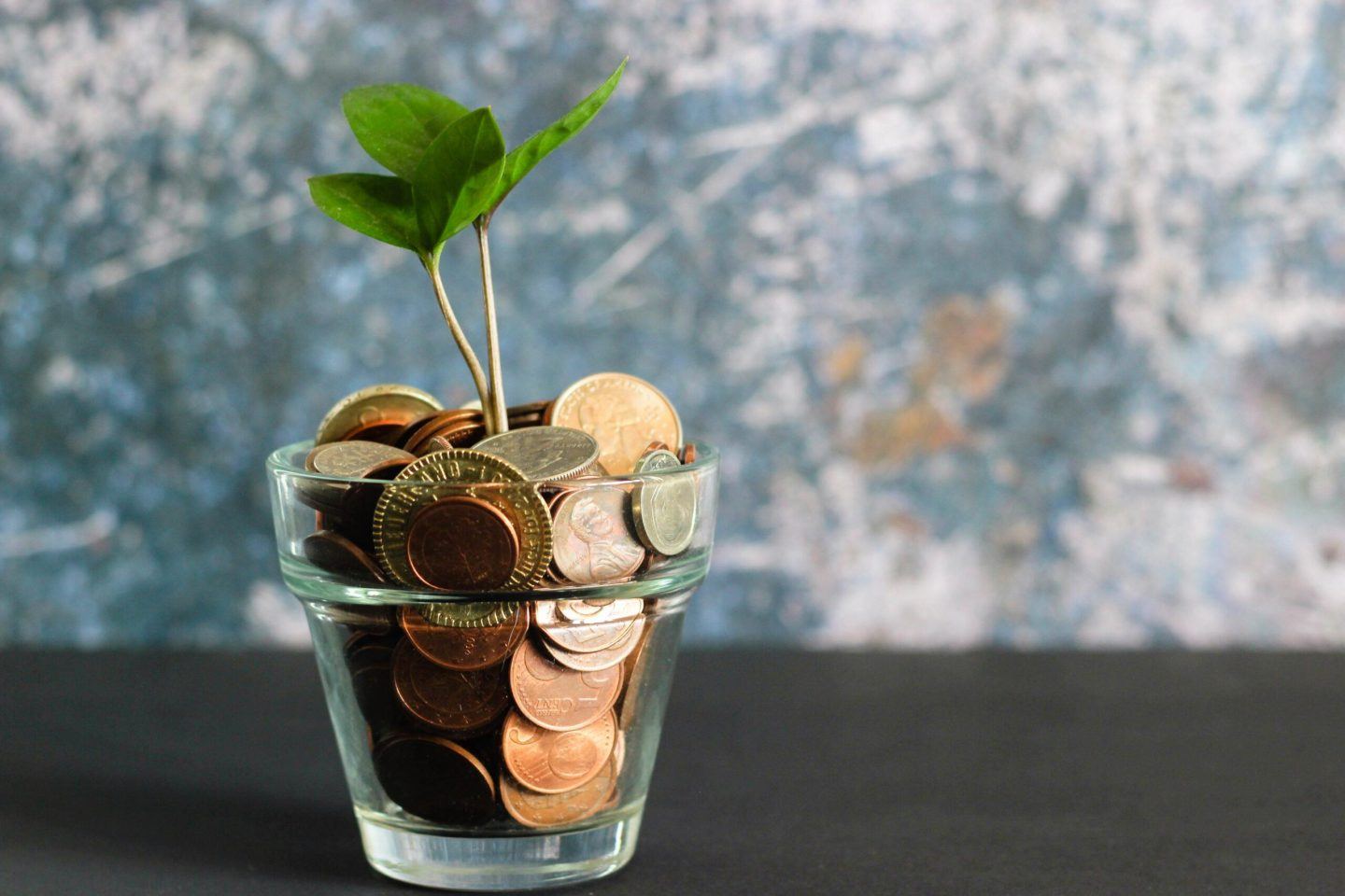 money in a pot with a green shoot growing out of it