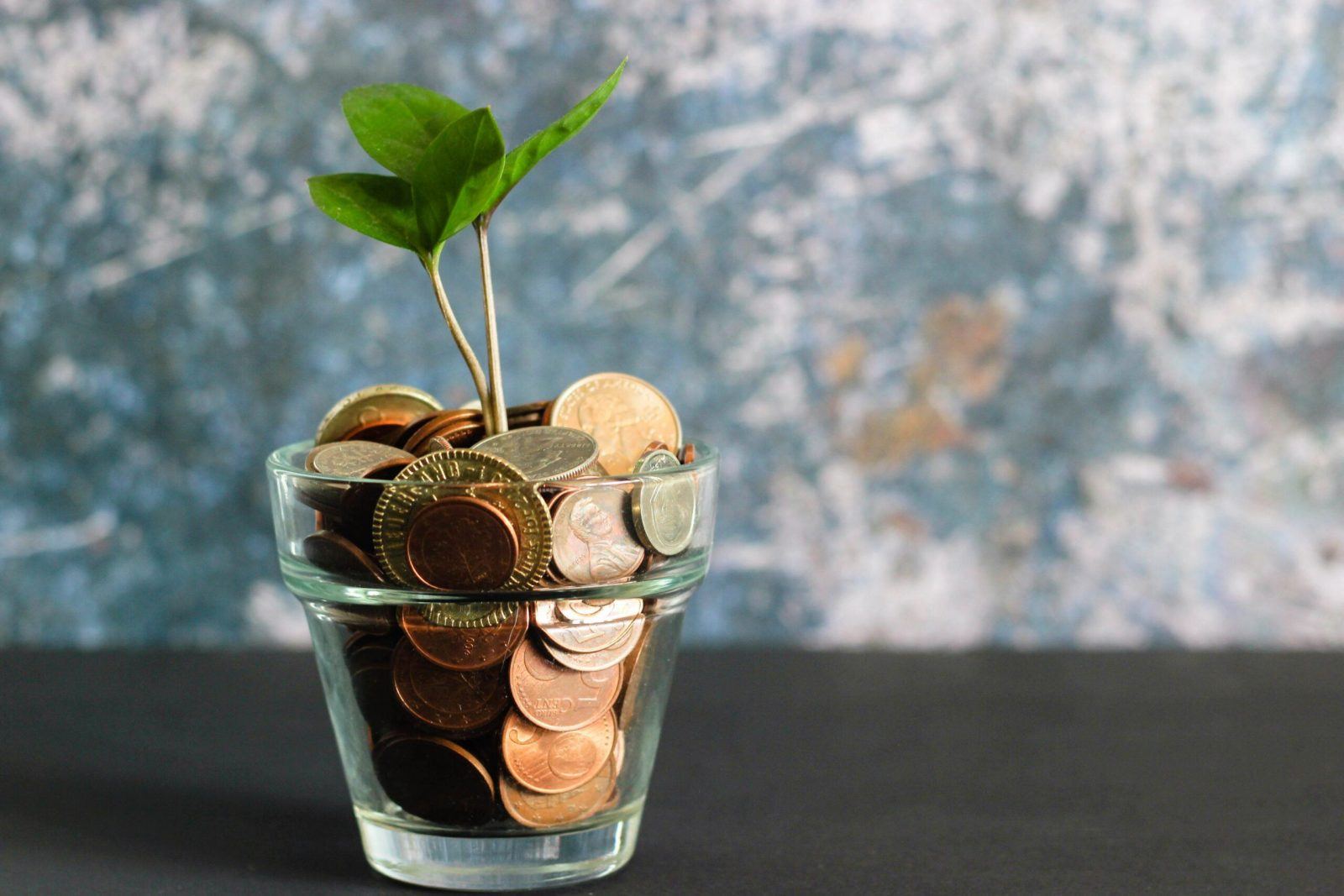money in a pot with a green shoot growing out of it