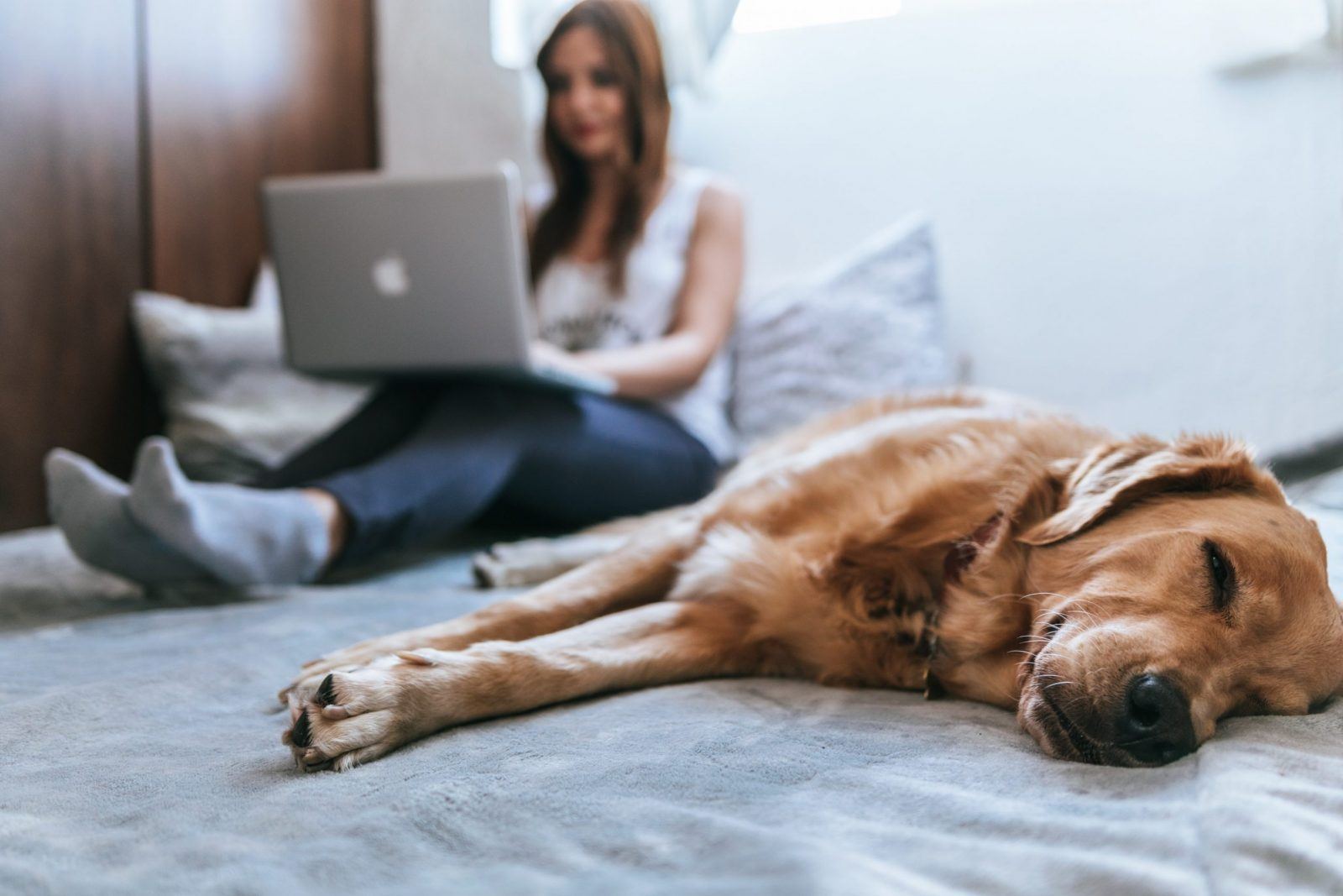 dog in foreground woman on computer in background representing ways to make money online as side hustles
