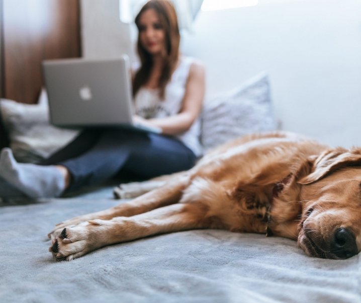 Boost Your Income in 2023: 20 Simple and Free Side Hustles to Try in the UK